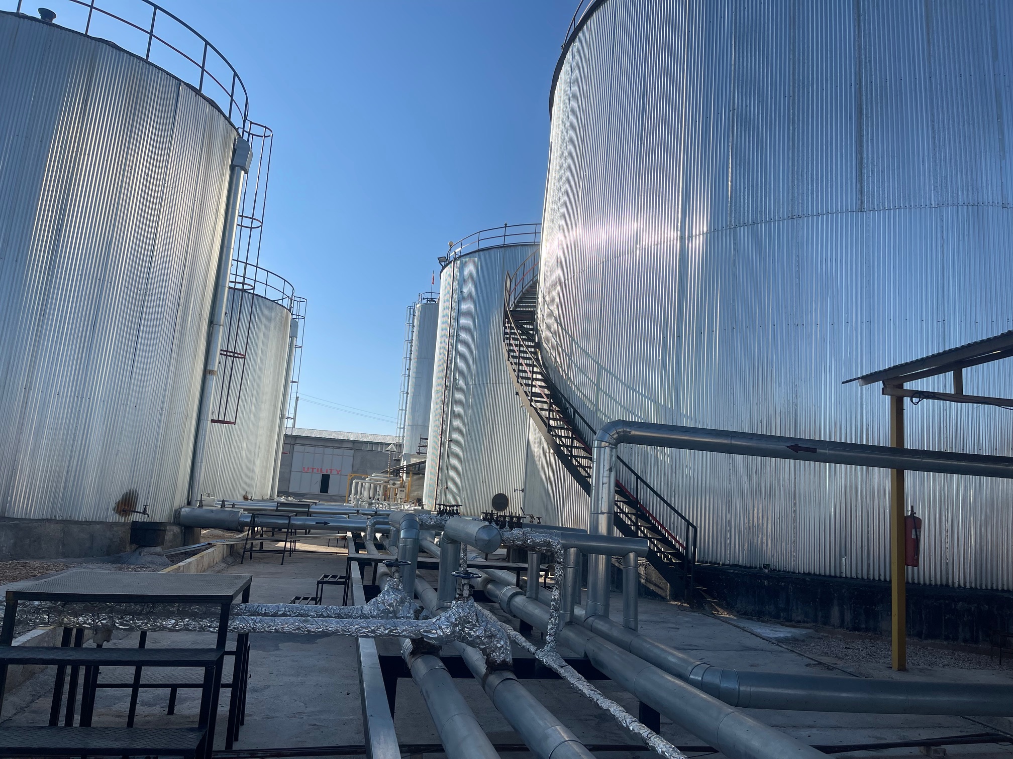 نگین فخر شیراز